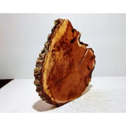 Baumscheibe, Holzscheibe, gestockt, Pappel,Holz, Bastelholz, Holzdeko, Dekoration,Holz