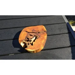 Baumscheibe, Holzscheibe, gestockt, Erle, Holz, Bastelholz, Holzdeko, Dekoration,Holz