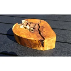 Baumscheibe, Holzscheibe, gestockt, Erle, Holz, Bastelholz, Holzdeko, Dekoration,Holz