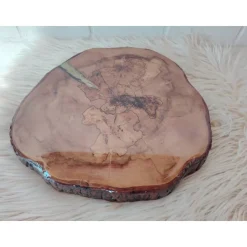 Baumscheibe, Tisch-Platte, TablettBaumscheibe Holzscheibe Hochzeitdeko,Dekoration, Tischdeko, Unikat