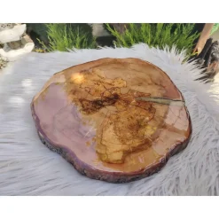 Baumscheibe, Tisch-Platte, TablettBaumscheibe Holzscheibe Hochzeitdeko,Dekoration, Tischdeko, Unikat