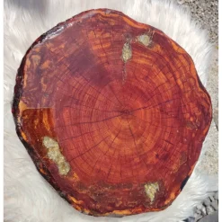 Baumscheibe, Tisch-Platte, TablettBaumscheibe Holzscheibe Hochzeitdeko,Dekoration, Tischdeko, Unikat