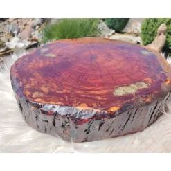 Baumscheibe, Tisch-Platte, TablettBaumscheibe Holzscheibe Hochzeitdeko,Dekoration, Tischdeko, Unikat