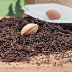 Besonderes Geschenk - Blumentopf graviert - Erstes Halloween