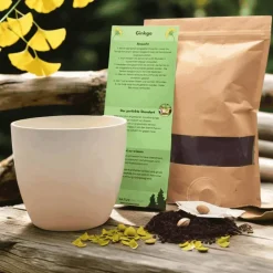 Besonderes Geschenk - Blumentopf graviert - Frohes Neues