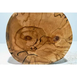 Biete hier eine Baumscheibe, Holzscheibe, gestockt,Birke