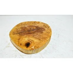 Biete hier eine Baumscheibe, Holzscheibe, gestockt,Birke