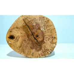 Biete hier eine Baumscheibe, Holzscheibe, gestockt,Birke