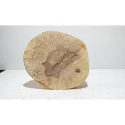 Biete hier eine Baumscheibe, Holzscheibe, gestockt,Birke