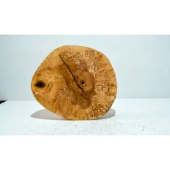 Biete hier eine Baumscheibe, Holzscheibe, gestockt,Birke