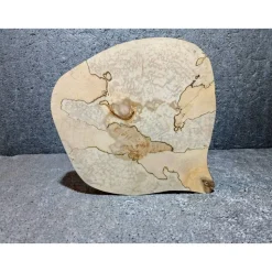 Biete hier eine Baumscheibe, Holzscheibe gestockte Birke an