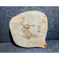 Biete hier eine Baumscheibe, Holzscheibe gestockte Birke an