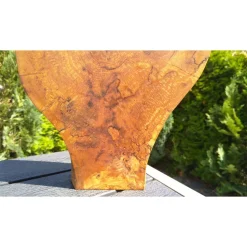 Biete hier eine Baumscheibe, Holzscheibe, gestockt, Erle, mit Stellfläche an