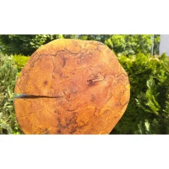 Biete hier eine Baumscheibe, Holzscheibe, gestockt, Erle, mit Stellfläche an