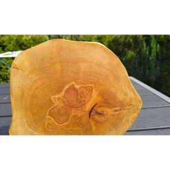 Biete hier eine Baumscheibe, Holzscheibe, gestockt,Birke