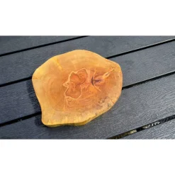 Biete hier eine Baumscheibe, Holzscheibe, gestockt,Birke