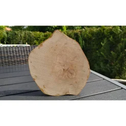 Biete hier eine Baumscheibe, Holzscheibe, gestockt,Birke