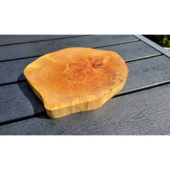 Biete hier eine Baumscheibe, Holzscheibe, gestockt,Birke