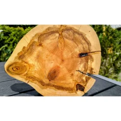 Biete hier eine Baumscheibe, Holzscheibe gestockte Traubenkirsche an