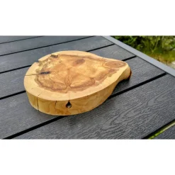 Biete hier eine Baumscheibe, Holzscheibe gestockte Traubenkirsche an