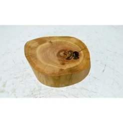 Biete hier eine Baumscheibe, Holzscheibe, gestockt, Kirsche, mit Stellfläche an