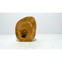 Biete hier eine Baumscheibe, Holzscheibe, gestockt, Kirsche, mit Stellfläche an