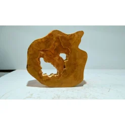 Biete hier eine Baumscheibe, Holzscheibe, gestockt,Birkep