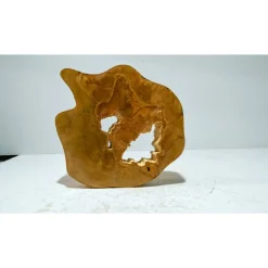 Biete hier eine Baumscheibe, Holzscheibe, gestockt,Birkep