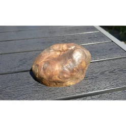 Biete hier eine Baumscheibe, überwachsenen Fichtenbaumstumpf, Fichte