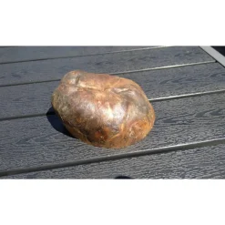 Biete hier eine Baumscheibe, überwachsenen Fichtenbaumstumpf, Fichte