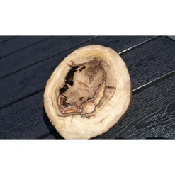 Biete hier eine Baumscheibe, überwachsenen Fichtenbaumstumpf, Fichte