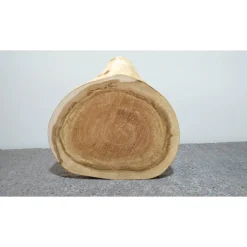 Biete hier eine Baumscheibe, Holzscheibe gestockte Traubenkirsche an