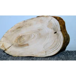 Biete hier eine Baumscheibe, Wurzelholz, Fichte