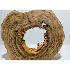 Biete hier eine Baumscheibe, Holzscheibe, gestockt, Robinie, mit Stellfläche an