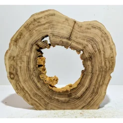 Biete hier eine Baumscheibe, Holzscheibe, gestockt, Robinie, mit Stellfläche an