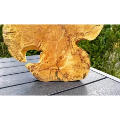 Biete hier eine Baumscheibe, Holzscheibe, gestockt,Birke