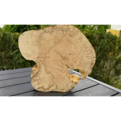 Biete hier eine Baumscheibe, Holzscheibe, gestockt,Birke