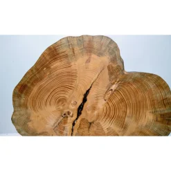 Biete hier eine Baumscheibe, Doppelbaumscheibe, gestockt, Fichte, mit Stellfläche an