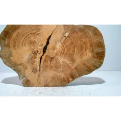 Biete hier eine Baumscheibe, Doppelbaumscheibe, gestockt, Fichte, mit Stellfläche an