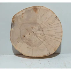 Biete hier eine Baumscheibe, Holzscheibe, gestockt,Birke