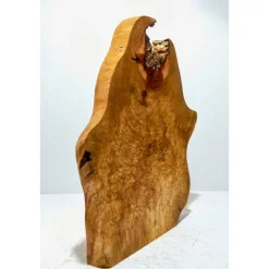 Biete hier eine große halbe Baumscheibe, Holzscheibe gestockte Birne an