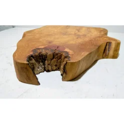 Biete hier eine große halbe Baumscheibe, Holzscheibe gestockte Birne an