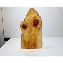 Biete hier eine halbe Baumscheibe, Holzscheibe gestockte Fichte an