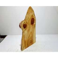 Biete hier eine halbe Baumscheibe, Holzscheibe gestockte Fichte an