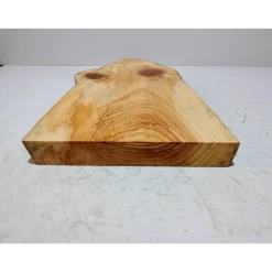 Biete hier eine halbe Baumscheibe, Holzscheibe gestockte Fichte an