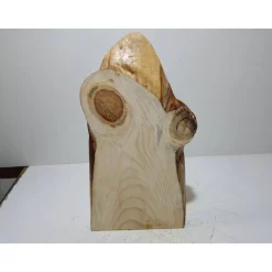 Biete hier eine halbe Baumscheibe, Holzscheibe gestockte Fichte an