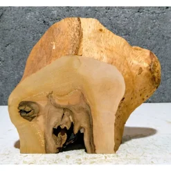 Biete hier eine halbe Baumscheibe, Holzscheibe gestockte Erle an