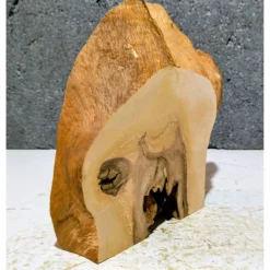 Biete hier eine halbe Baumscheibe, Holzscheibe gestockte Erle an
