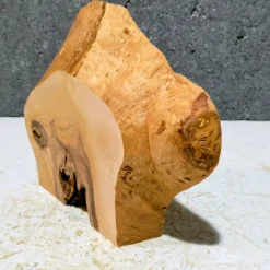 Biete hier eine halbe Baumscheibe, Holzscheibe gestockte Erle an