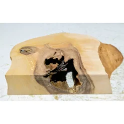 Biete hier eine halbe Baumscheibe, Holzscheibe gestockte Erle an